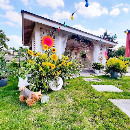 Pokoje Hotelowe Siedlczanka Siedlce Exterior foto